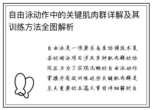 自由泳动作中的关键肌肉群详解及其训练方法全图解析